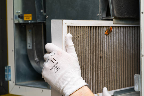 Best Professional Duct Cleaning Services  in Hartley, CA